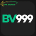 Bv999 game