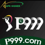 P999 Game